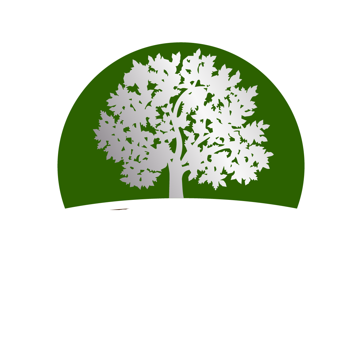 Gal Stejarii Argintii